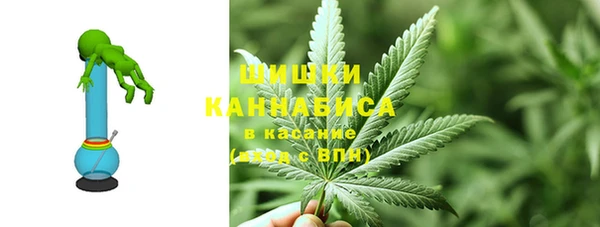 сатива Аркадак