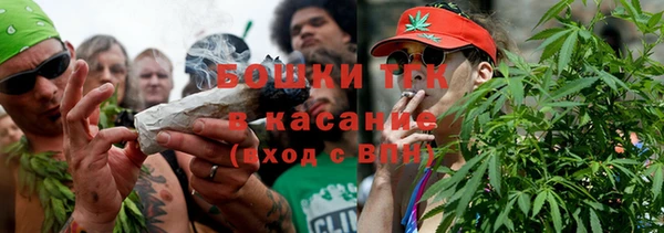 сатива Аркадак