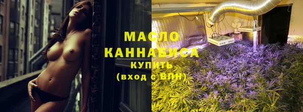 сатива Аркадак