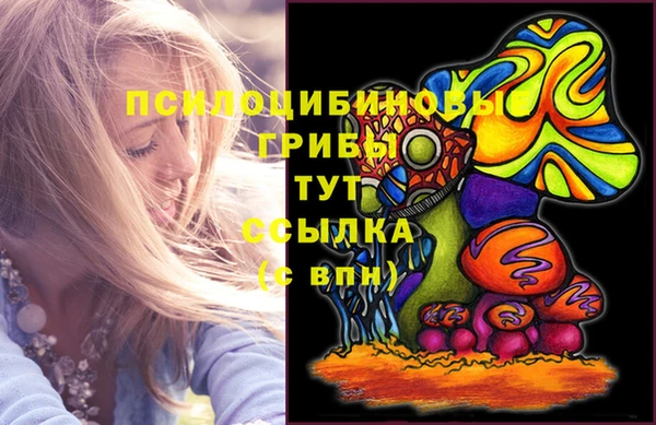 сатива Аркадак