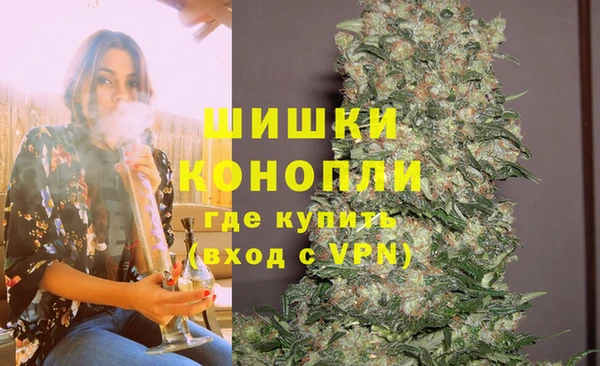 гашик Арсеньев