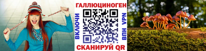 площадка клад  Арсеньев  Псилоцибиновые грибы Cubensis  цены  